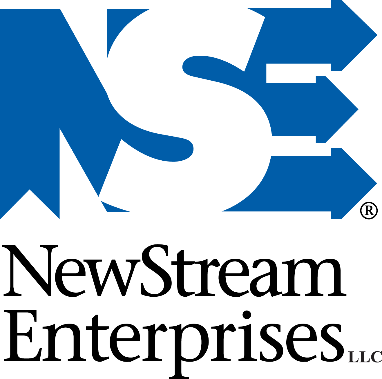 NewStream Enterprises Logo